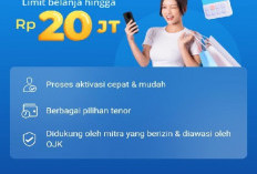 Khusus Premium: Cara Mengaktifkan Fitur Pinjaman Online di DANA Cicil 