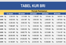 Tabel KUR BRI: Pinjaman Rp 25-500 Juta, Suku Bunga 6%, Cek Simulasi Cicilan
