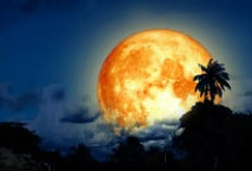 Fakta Menarik Purnama Buck Moon yang Wajib Kamu Tahu