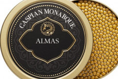 7 Bahan Makanan Termahal di Dunia : Apakah Kamu Mau Mencobanya?