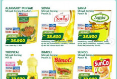 Promo Alfamart Gantung Terbaru Periode  27 Feb-5 Mar 2026: Belanja Hemat Kebutuhan Pokok dan Persiapan Gajian!