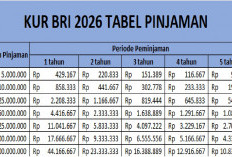 Suku Bunga Rendah! Ini Tabel Angsuran KUR BRI 2026 & Syarat Lengkap
