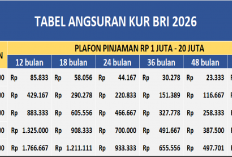 Cicilan Ramah Rp 20 ribuan per Bulan, Tenor 5 Tahun, Tabel Angsuran KUR BRI 2026 Rp 1 Juta hingga Rp 20 Juta