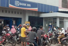 Berapa Cicilan KUR BRI 2026 Pinjaman 100 Juta, Apakah Benar Cuma 800 Ribuan 