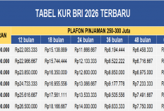 Tabel KUR BRI Terbaru: Pinjaman 250-300 Juta Lengkap Dengan Simulasi Cicilan