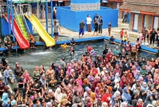 Fakta! Ikan Dewa di Cibulan Sangat Sehat, Ini Cara Manajemen Rawat Populasi Ikan