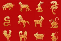 Ramalan Shio Tikus di Tahun Kuda Api 2026, Apakah Termasuk Shio Ciong ? 