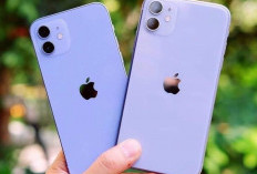 5 iPhone Harga 5jutaan Terbaik untuk Ngonten, Hasil Kamera Dijamin Jernih!
