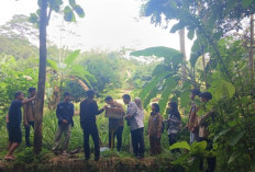 Pendampingan Prisma 3.0 Mahasiswa Poltek SCI Bersama Petani Lebah Trigona di Panambangan