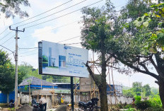 Izin Dicabut, Trusmi Land Jalan Terus