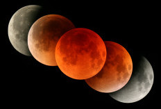 Dapat Dilihat di Indonesia, Gerhana Bulan Total 3 Maret 2026 Akan Melintasi Seluruh Wilayah Nusantara!