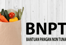 Cek Bansos BPNT Tahap 2 Kapan Cair untuk Pemilik Kartu Keluarga Sejahtera (KKS)