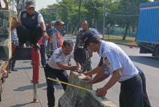 Akhirnya, U-Turn Depan Dispusip Ditutup