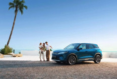 Jarak Tempuh BYD Atto 2: Sanggup Melaju Hingga 400 KM Sekali Cas!