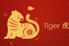 Seberapa Beruntung Shio Macan di Tahun 2025? Intip Ramalannya disini!