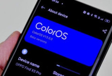 Bedah Fitur ColorOS Terbaru: Lebih Ringan, Cepat, dan Penuh Fitur Pintar