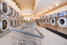 Tren Waralaba 2026: Daftar Bisnis Paling Menjanjikan Berdasarkan Data IFBC