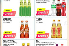 Lebaran Mudik Asyik! Manfaatkan Promo Terbaru Alfamart Periode 19 - 29 Maret 2026, Produk Beli 2 Gratis 1