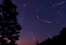 Hujan Meteor Lyrid 2026: Cek Tanggal, Waktu Terbaik, dan Cara Melihatnya