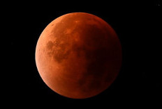 Blood Moon Hiasi Langit 14 Ramadan, Ini Panduan Salat Gerhana Bulan Total 3 Maret 2026