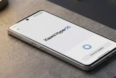 Xiaomi Tunda Distribusi HyperOS 3.1 Global, Belasan Seri Redmi dan POCO Terpaksa Menunggu