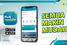 Cara Cek Golongan dan Tarif Listrik per kWh Secara Online dengan Mudah