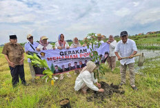 Tanam 200 Pohon di Losari, Gerindra Cirebon Tunjukkan Politik Hijau Lewat Aksi Nyata
