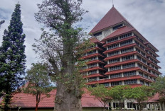 Gagal di Pengumuman SNBT 2026? Ini Daftar PTN yang Buka Jalur Mandiri Nilai UTBK