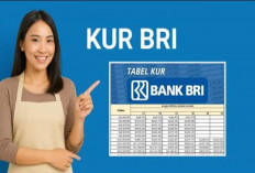 Tabel KUR BRI 2026 Pinjaman Rp 1-50 Juta: Bunga Rendah & Cicilan Hanya Rp 30 Ribuan Per Bulan