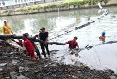 Warga Panjunan Kerja Bakti Bersihkan Sampah di Sungai Sukalila, Camat Lemahwungkuk Dorong Kepedulian Warga