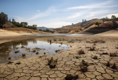 Perkiraan Musim Kemarau 2026: BMKG Prediksi Datang Lebih Awal dan Lebih Kering