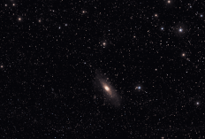 Fenomena Langit Selama Bulan Februari: Parade Planet, Gerhana, Hingga Hujan Meteor 