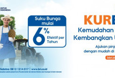 Update Bunga KUR BRI 2026: Rincian Suku Bunga Terbaru dan Tabel Angsuran