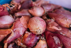 Update Harga Bahan Pangan Hari Ini Rabu, 04 Februari 2026. Bawang Merah, Cabai Rawit Hingga Daging Sapi