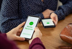 Review Aplikasi Bank Digital Viral Dari Kelebihan Hingga Risikonya