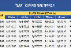 Tabel Angsuran KUR BRI: Pinjaman 300-350 Juta, Simak Syarat Pengajuan dan Cicilan