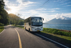 Liburan Hemat ke Bali Naik DAMRI 2026: Hanya Rp500 Ribuan Bisa Lewat Tol Trans Jawa