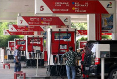 Daftar Lengkap Harga BBM Pertamina Terbaru: Pertalite, Pertamax, hingga Dexlite