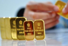 Harga Emas Antam Hari Ini 31 Juli 2026 Naik 7.000 per Gram Jadi Rp2,62 Juta