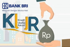 Cara Mendapatkan Bunga KUR BRI 2026 Sebesar 3% untuk UMKM Pemula