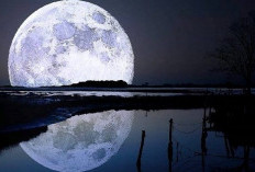 Ibadah di Bulan Sya'ban dan Keutamaannya : Sebelum Menyambut Bulan Ramadhan 