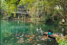 Bingung Libur Lebaran Mau Kemana? 3 Rekomendasi Tempat Wisata di Majalengka Terbaru Hits