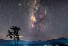 Daftar Puncak Hujan Meteor yang Bisa Diamati dari Indonesia