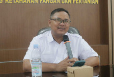 Perkuat Jalur GKP 2026, Sinergis Bulog-Diskatan Gencarkan Skema Jemput Gabah 