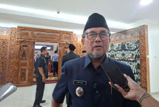 Bupati Cirebon Akan Evaluasi Dinas Pertanian Soal Kondisi Sapi Kurus