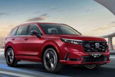 SUV Hybrid Semakin Digemari, Honda CR-V RS e:HEV Jadi Pilihan Favorit Konsumen Premium