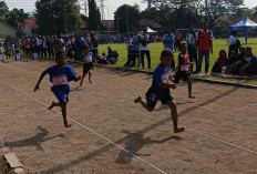 Persaingan di Tingkat SMA dan SD Merata, SMPN 1 Beber Mendominasi Invitasi Atletik Pelajar 2026