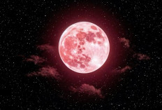 Fenomena Pink Moon 2026: Catat Tanggal dan Jam Puncaknya di Indonesia!