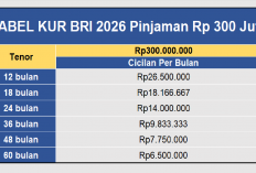 Tabel KUR BRI 2026: Pinjaman 300 Juta, Suku Bunga 6% per Tahun, Cicilan Mulai Dari Rp 6.5 Jutaan