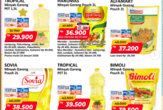 Promo Alfamart hari ini, Diskon Minyak Goreng hanya sampai Besok!